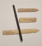 Pencil