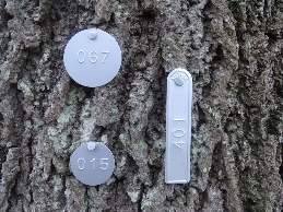 Numbered Tags in special aluminium Numbered Tags in special aluminium