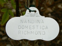 Professionally Punched Labels professionally label your garden tags / markers
